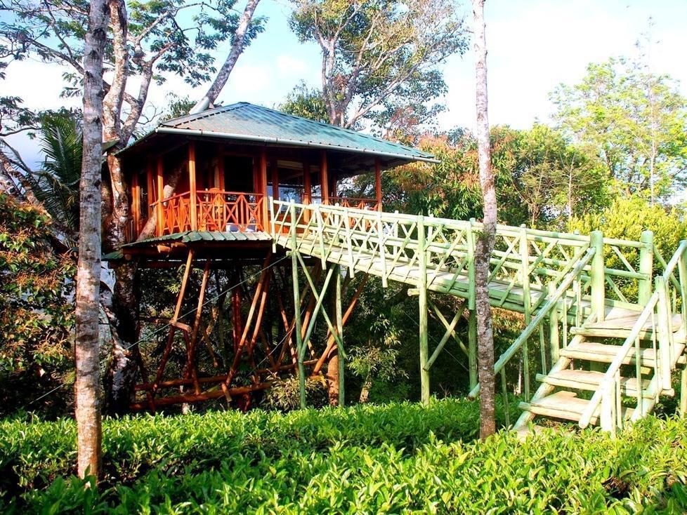 Dream Catcher Resort Munnar Eksteriør bilde
