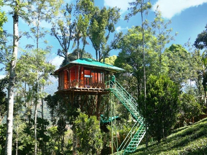 Dream Catcher Resort Munnar Eksteriør bilde