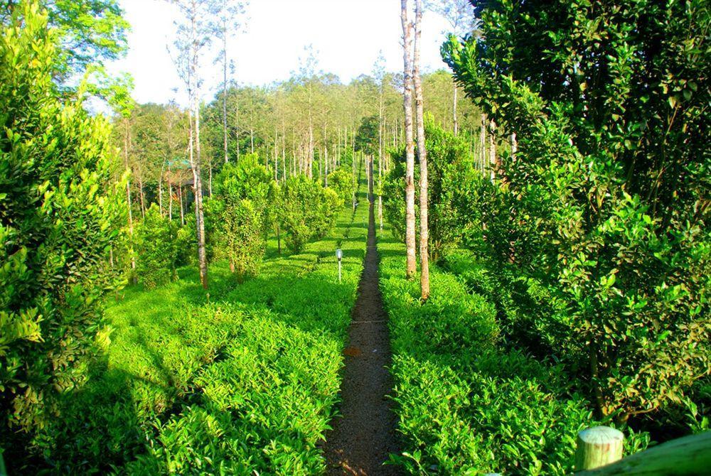 Dream Catcher Resort Munnar Eksteriør bilde
