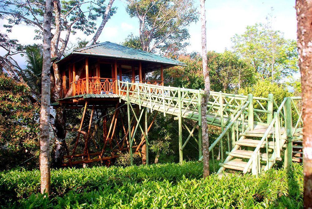 Dream Catcher Resort Munnar Eksteriør bilde