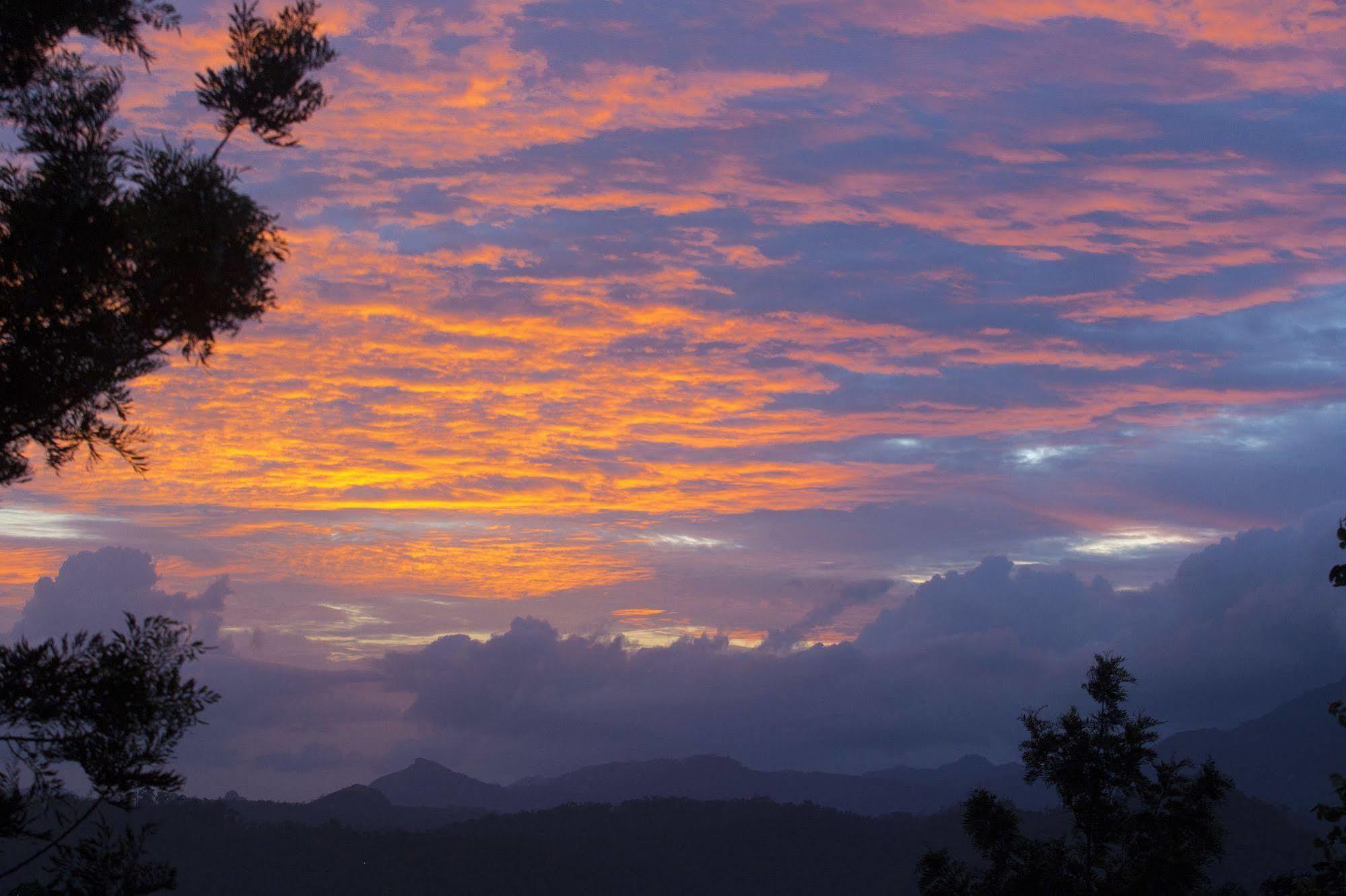 Dream Catcher Resort Munnar Eksteriør bilde