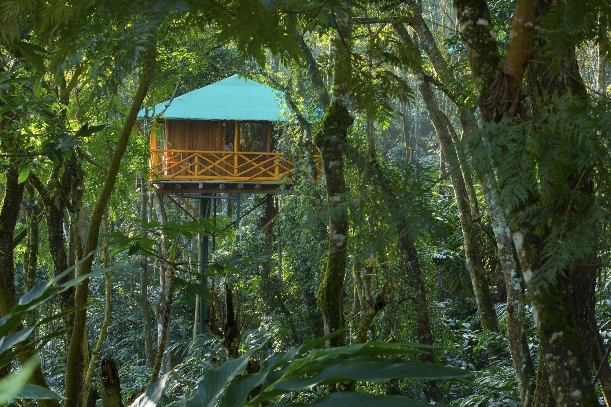Dream Catcher Resort Munnar Eksteriør bilde